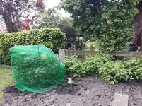 20170524_153406.webp