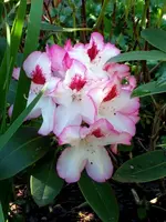 20170518_170043.webp