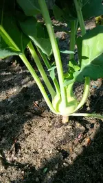 20170518_170138.webp