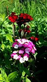 20170518_170224.webp