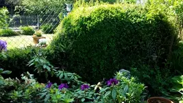 20170521_112002.webp