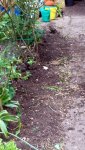 20170521_141319.jpg