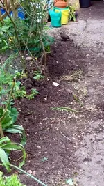 20170521_141319.webp
