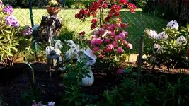 20170522_180433-001.webp