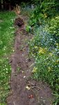 20170521_141401.jpg