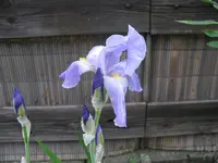IMG_5478.webp