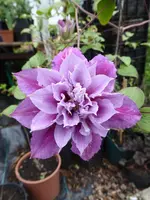 P1020151.webp