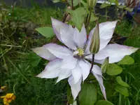 P1020153.webp