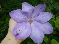 P1020204.webp