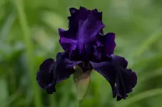 blacktieaffaire-.webp