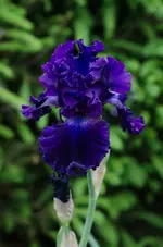 holywoodnight-.webp