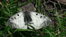 20170513_151643.jpg