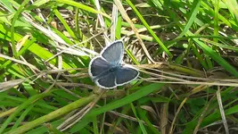 20170513_132835.webp