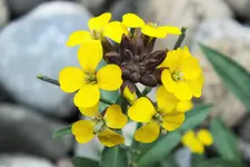 DSCF8813 (2).webp