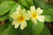 DSCF8892 (2).webp