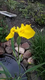 alles 004.webp