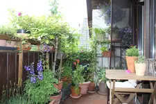 Blick vom Sofa.webp