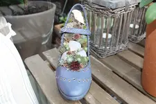 Billas Schuh.jpg