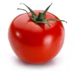 tomate.webp