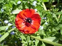 100_2258.webp