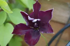 _DSC1673.webp