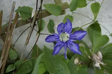_DSC1669.webp