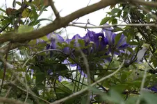 _DSC1671.webp