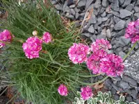 2017-05-23 16.49.47.webp