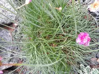 2017-05-23 16.49.50.webp