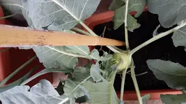 20170525_171645.webp