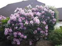 20170525_180008.jpg