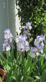 IMG_7317.webp