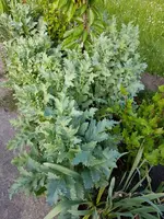 IMG-20170525-WA0000.webp