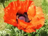 BILD6617.webp