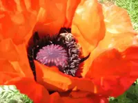 BILD6618.webp