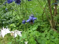 BILD6630.webp