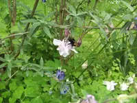 BILD6632.webp