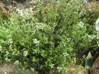 BILD6639.webp
