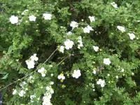 BILD6611.webp