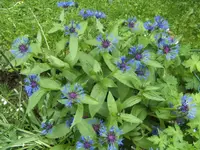 BILD6612.webp