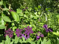P1020876.webp