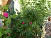 P1020845.JPG