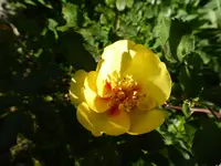 P1020920.webp