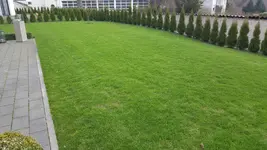 20170324_073901.webp
