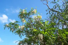 100_4063.JPG
