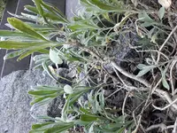 2017-05-26 18.50.22.webp