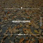 nobody kehrs.webp
