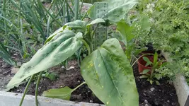 20170526_202403.webp