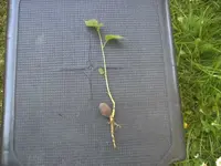 BILD6650.webp
