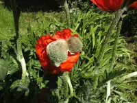 BILD6655.webp